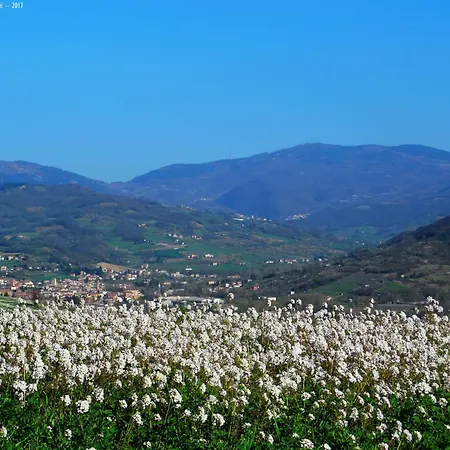 Park - Oltrepo Pavese - 3* Salice Terme